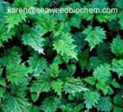 3,4-Divanillyltetrahydrofuran (Nettle Root Extract)